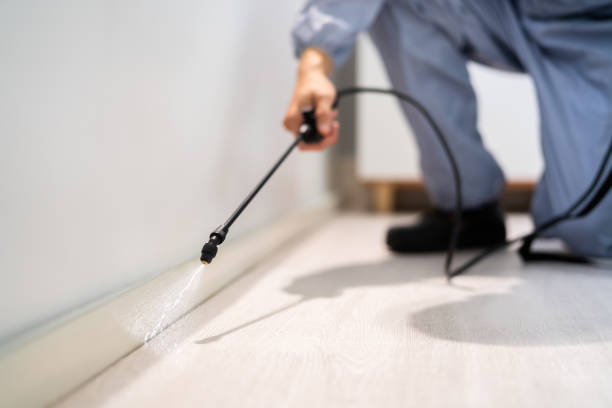 Licensed Fumigation Services service in Meyers, CA - Nex Pest Control