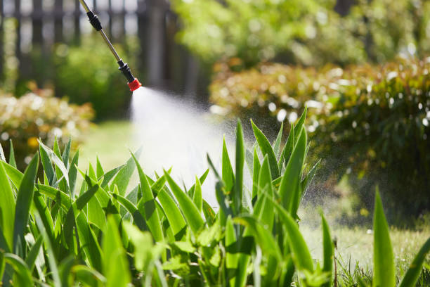 24/7 Emergency Fumigation Services experts in Meyers, CA