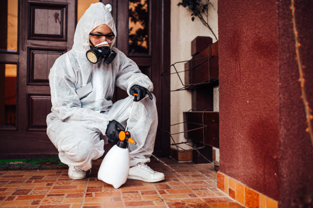 Reliable Fumigation Services contractor in Meyers, CA by Nex Pest Control