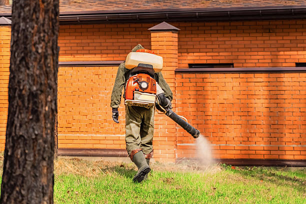 Top rated local Fumigation Services specialists in Meyers, CA
